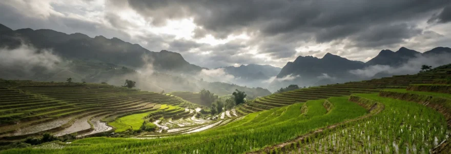 Rizières en terrasse du Nord Vietnam après la mousson, végétation vert intense